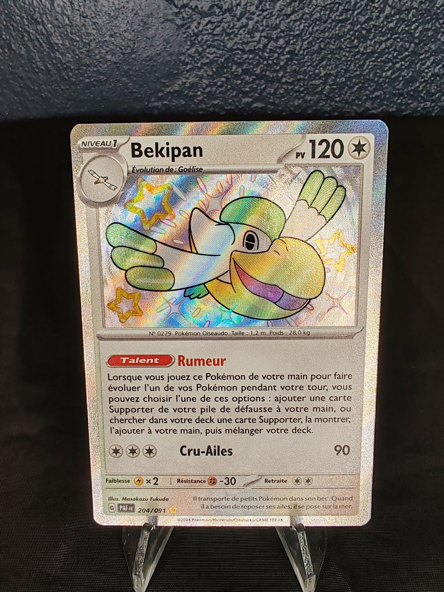 Bekipan – EV4.5 – 204/91 - FR