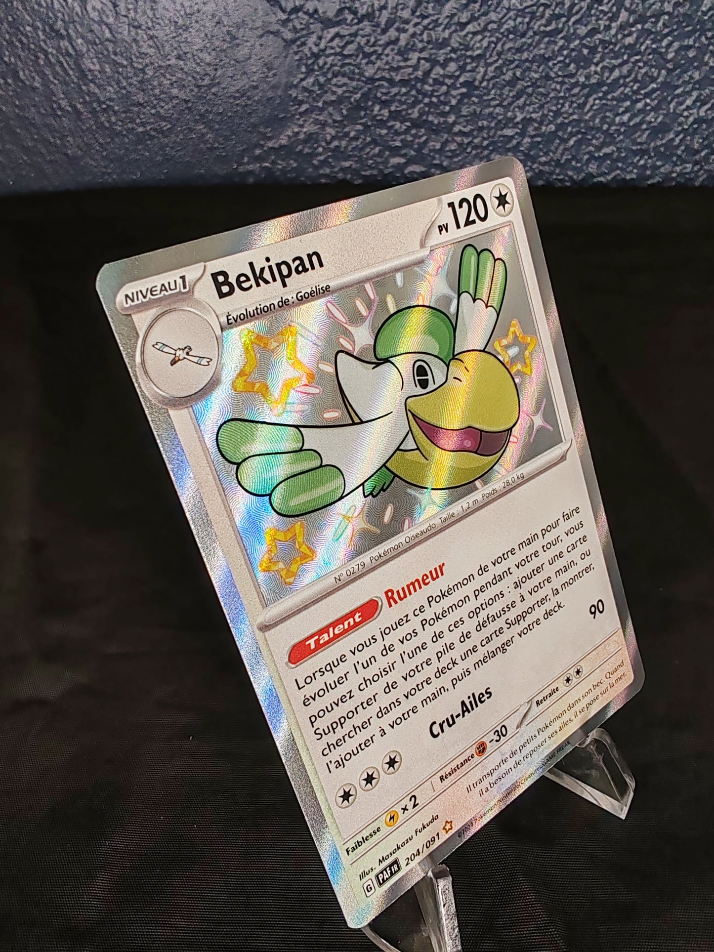 Bekipan – EV4.5 – 204/91 - FR