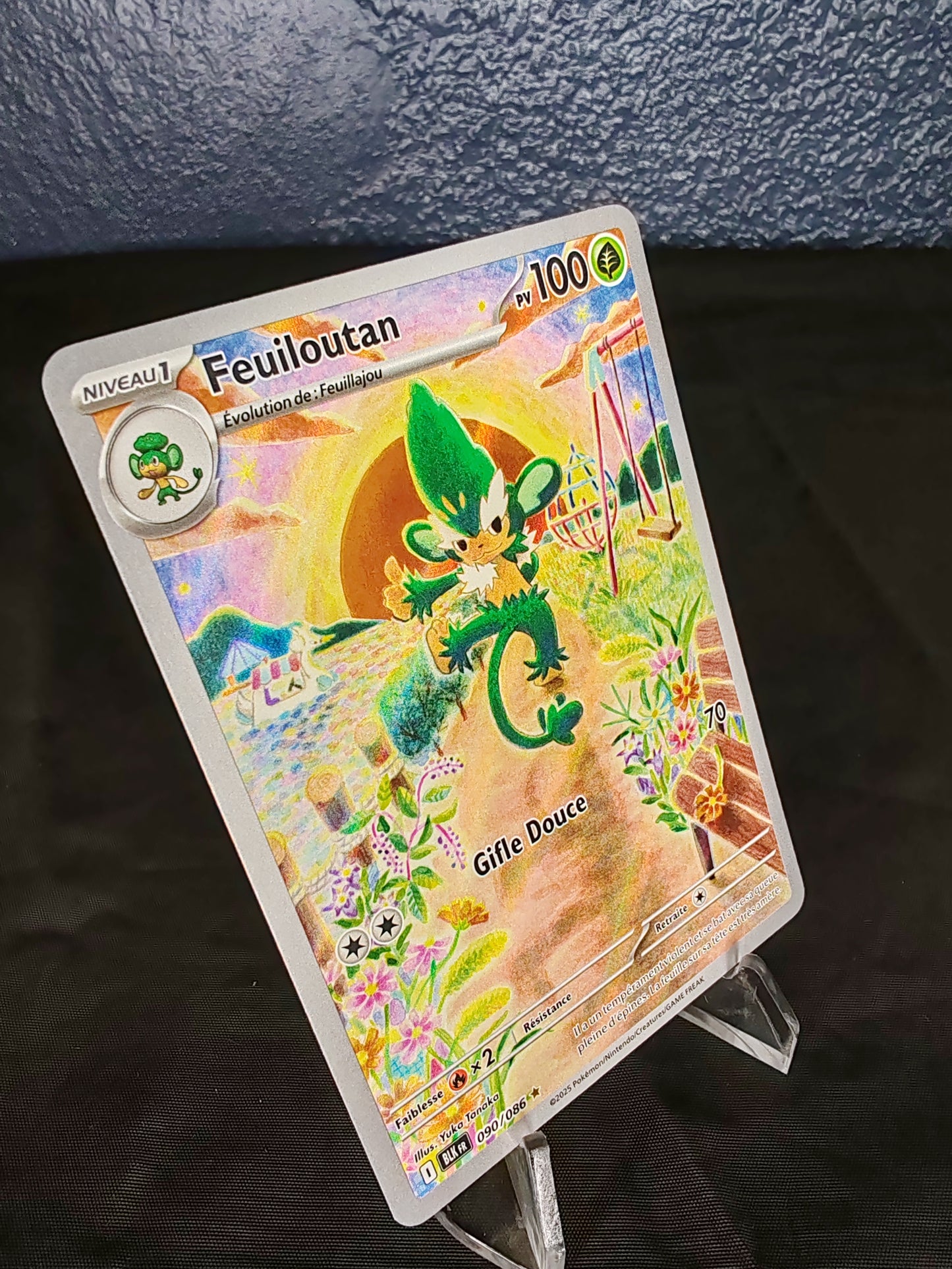 Feuilloutan – EV10.5 – 90/86 - FR