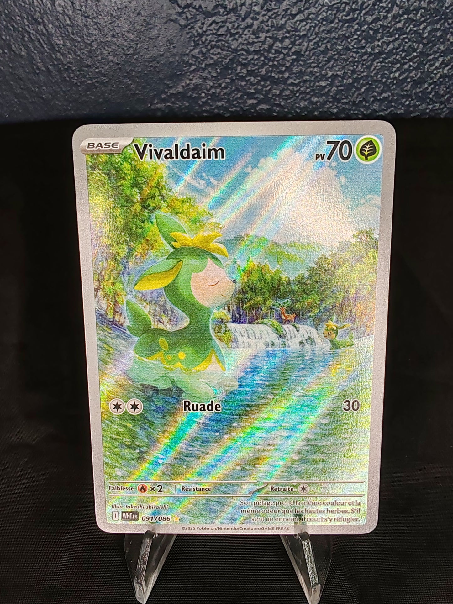 Vivaldaim – EV10.5 – 91/86 - FR