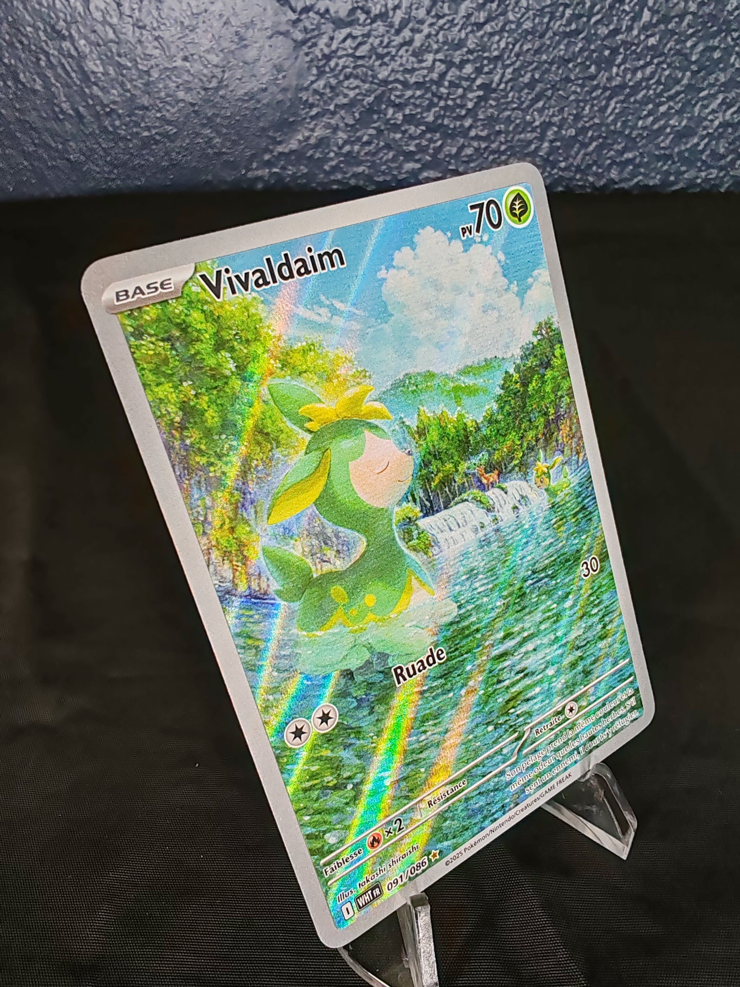 Vivaldaim – EV10.5 – 91/86 - FR