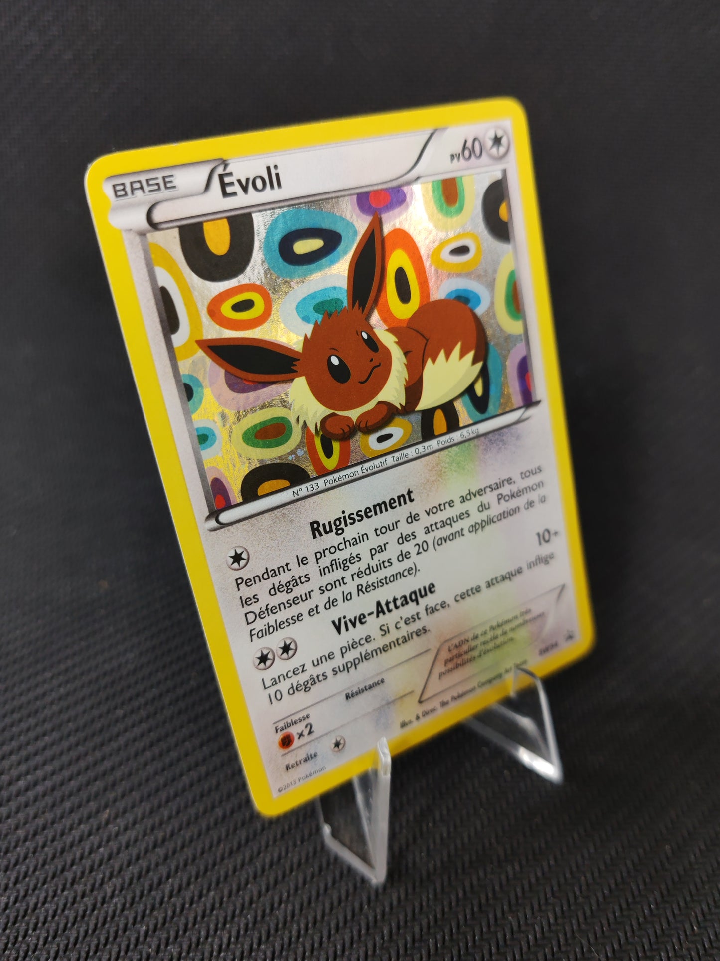Evoli – BW 94 FR