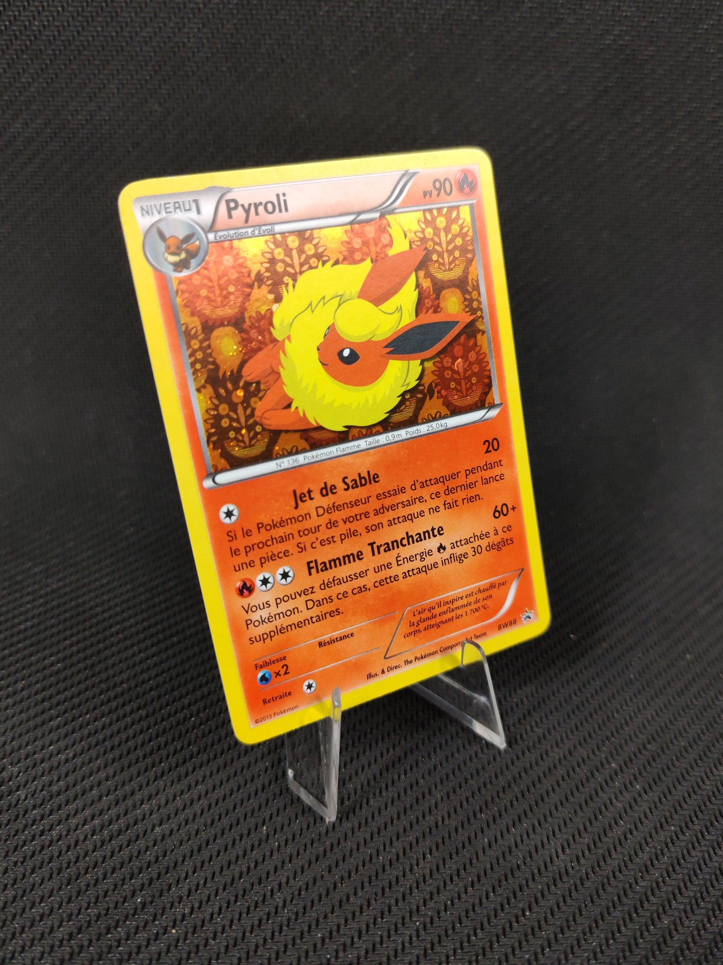 Pyroli – BW 88 FR