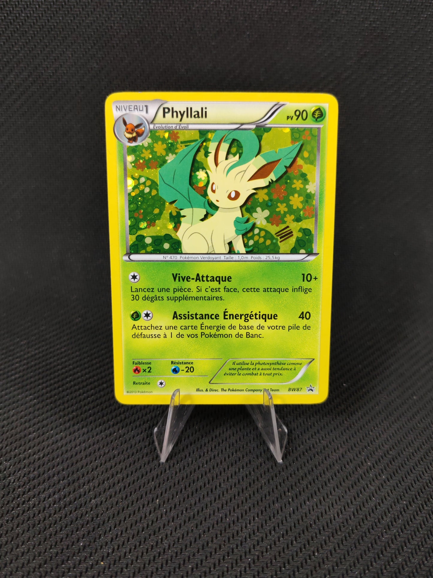 Phyllali – BW 87 FR