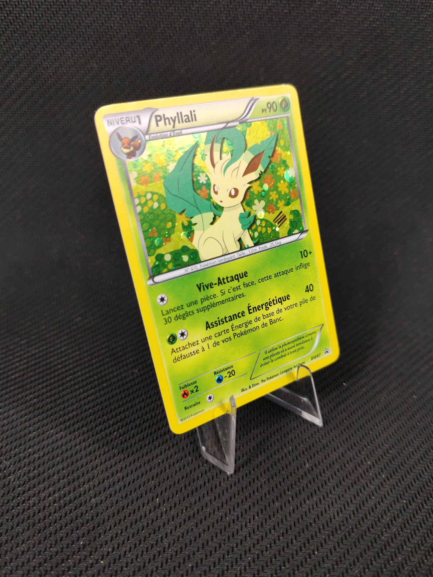 Phyllali – BW 87 FR